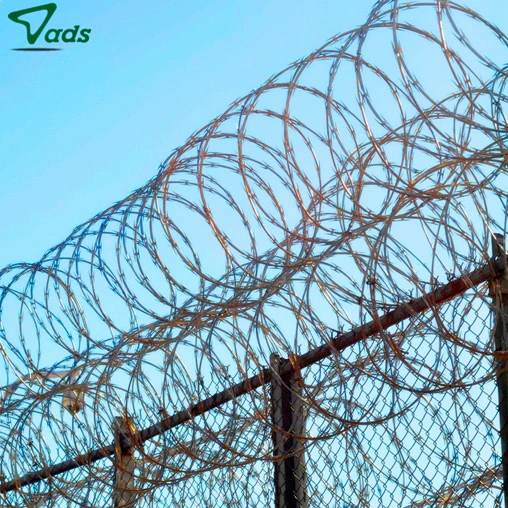 coiled barbed wire fencing